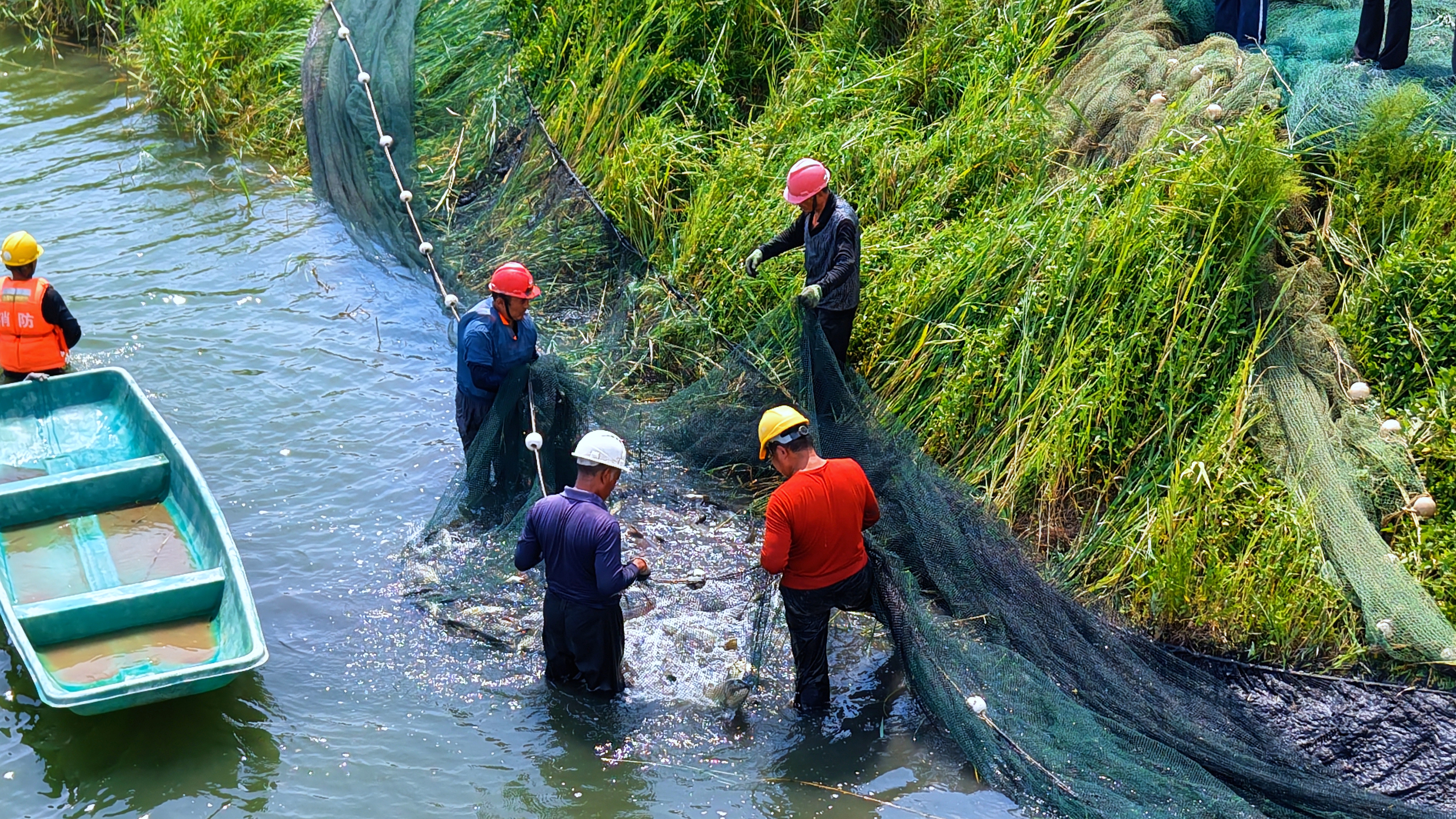八月漁鮮正當(dāng)食：博華生態(tài)農(nóng)業(yè)水產(chǎn)養(yǎng)殖中心喜獲豐收